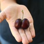 Thumbnail image for Chocolate Almond Mousse with Boozy Cherries