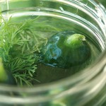 Thumbnail image for Homemade Pickles and a Memorial Day Menu
