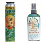 Thumbnail image for Natural Insect Repellent