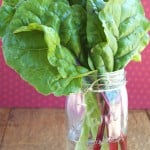 Thumbnail image for Organic, Real food on a Budget – Swiss Chard with Red Onion and Bacon