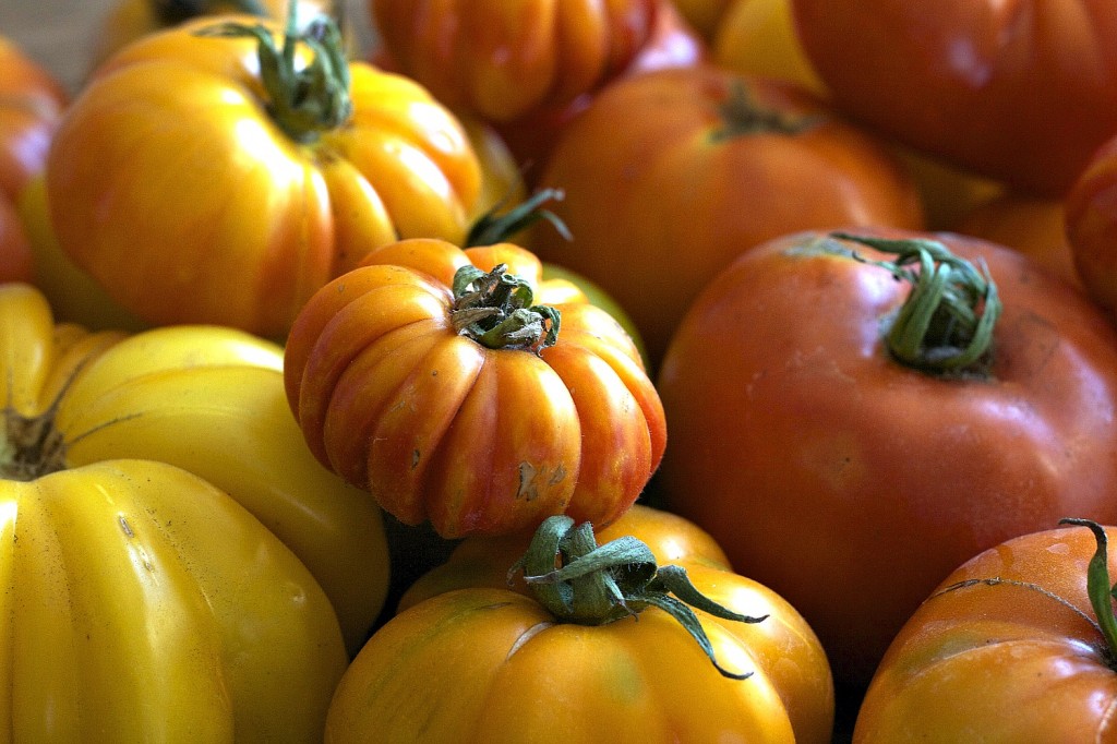 Tomatoes