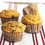 Thumbnail image for Pumpkin Muffins with Chocolate Chips (Grain Free, Paleo, Primal)