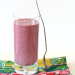 Thumbnail image for Coconut, Berry, and Spinach Smoothie Recipe (Paleo, Gaps)