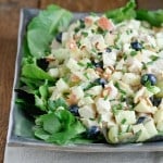 Thumbnail image for Chopped Waldorf Salad Recipe