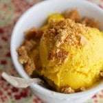 Thumbnail image for Pumpkin Ice Cream with Graham Cracker Crumbles (Dairy Free, Paleo, Gaps, Grain Free)