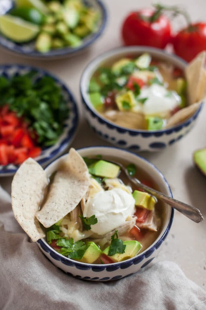 Chicken Pot Pie Soup (Grain-Free, Gluten-Free) - Deliciously Organic