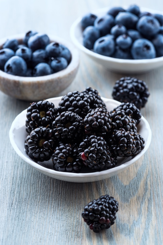 Blackberries are by far my most favorite berries ever! And when they are paired with Devonshire cream, it's a fantastic afternoon snack!