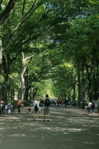 The Best Thing I Ever Ate - New York - Deliciously Organic - Carrie