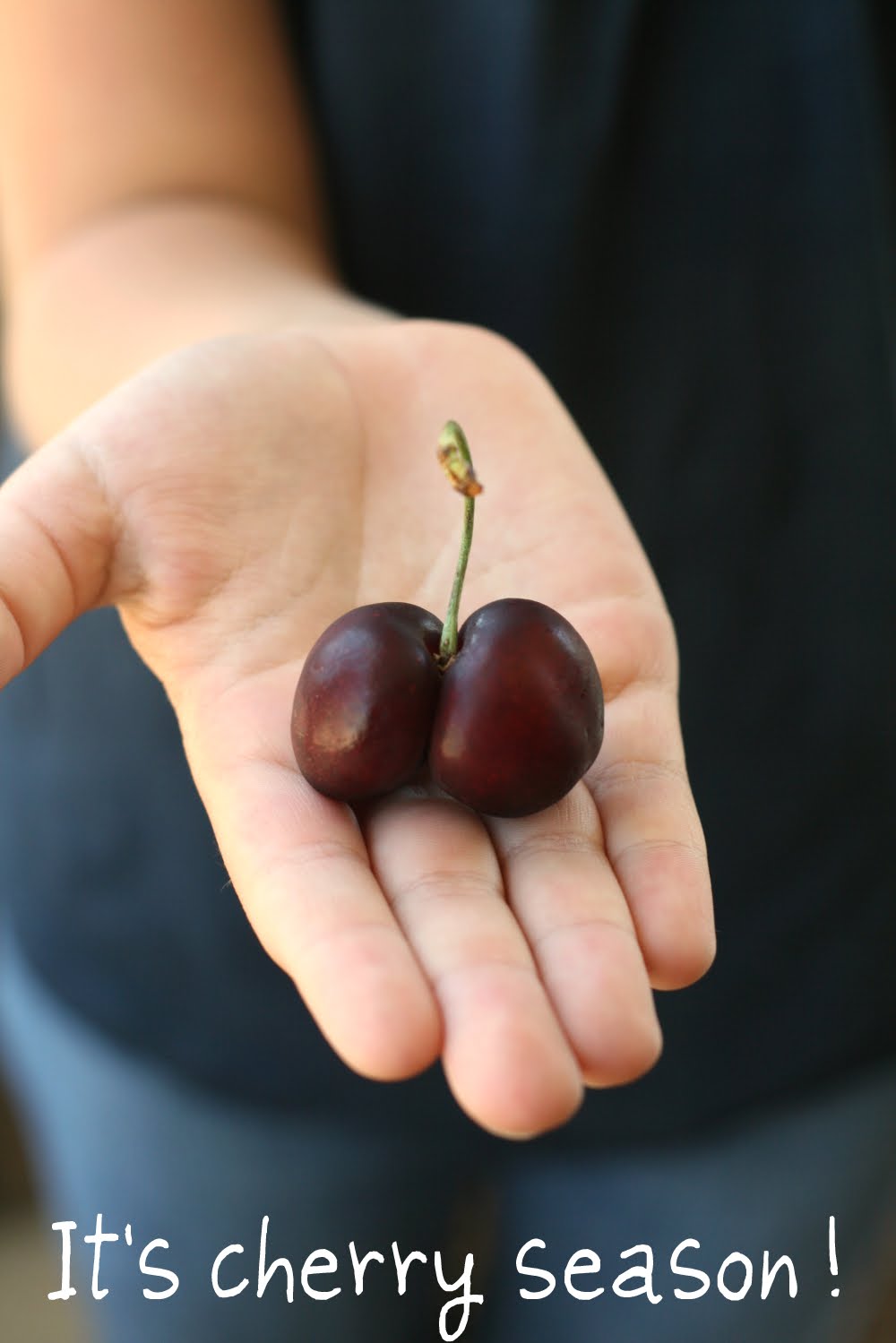 I just love cherries! And this chocolate almond mousse with boozy cherries is a great way to use them up!