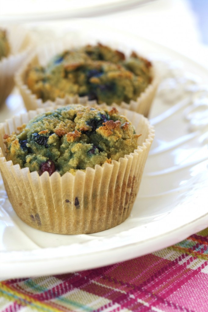 These grain free blueberry muffins are made with coconut flour. Perfect for those with nut allergies!