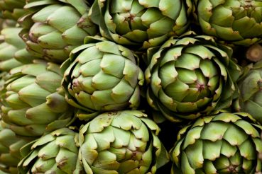 artichokes artichoke toscana aphrodisiaques carciofi artisjok medicalnewstoday plagas peruana alcachofa mantaro resistente gallstones artischocken paesesera potager nutzlos teuer 18h39 colpisce