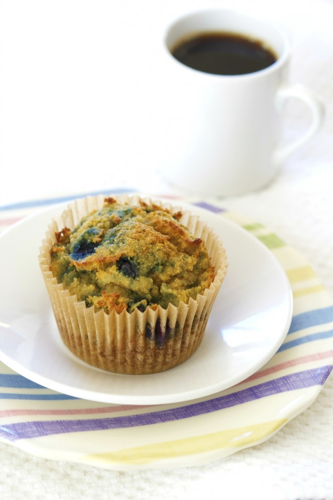 These grain free blueberry muffins are made with coconut flour. Perfect for those with nut allergies!