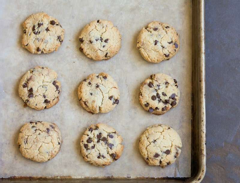 These grain free chocolate chip cookies are best the day they’re baked. Make a double batch. They won't last long!