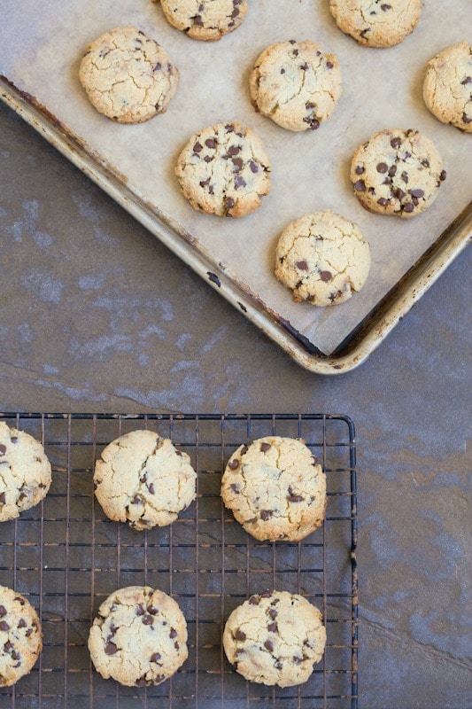 These grain free chocolate chip cookies are best the day they’re baked. Make a double batch. They won't last long!