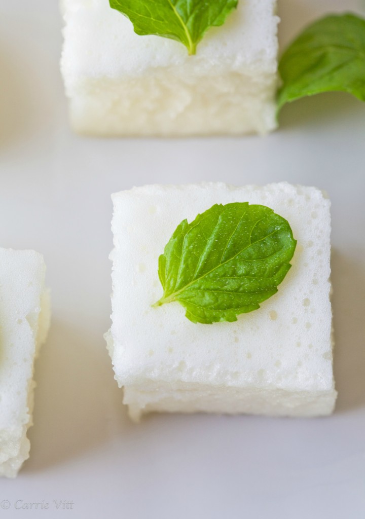 Take your Jello up a notch by whipping it! It’s a refreshing and fun dessert for kids and adults alike.