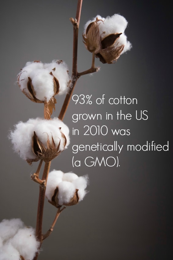 The Importance of Organic Cotton via www.DeliciouslyOrganic.net