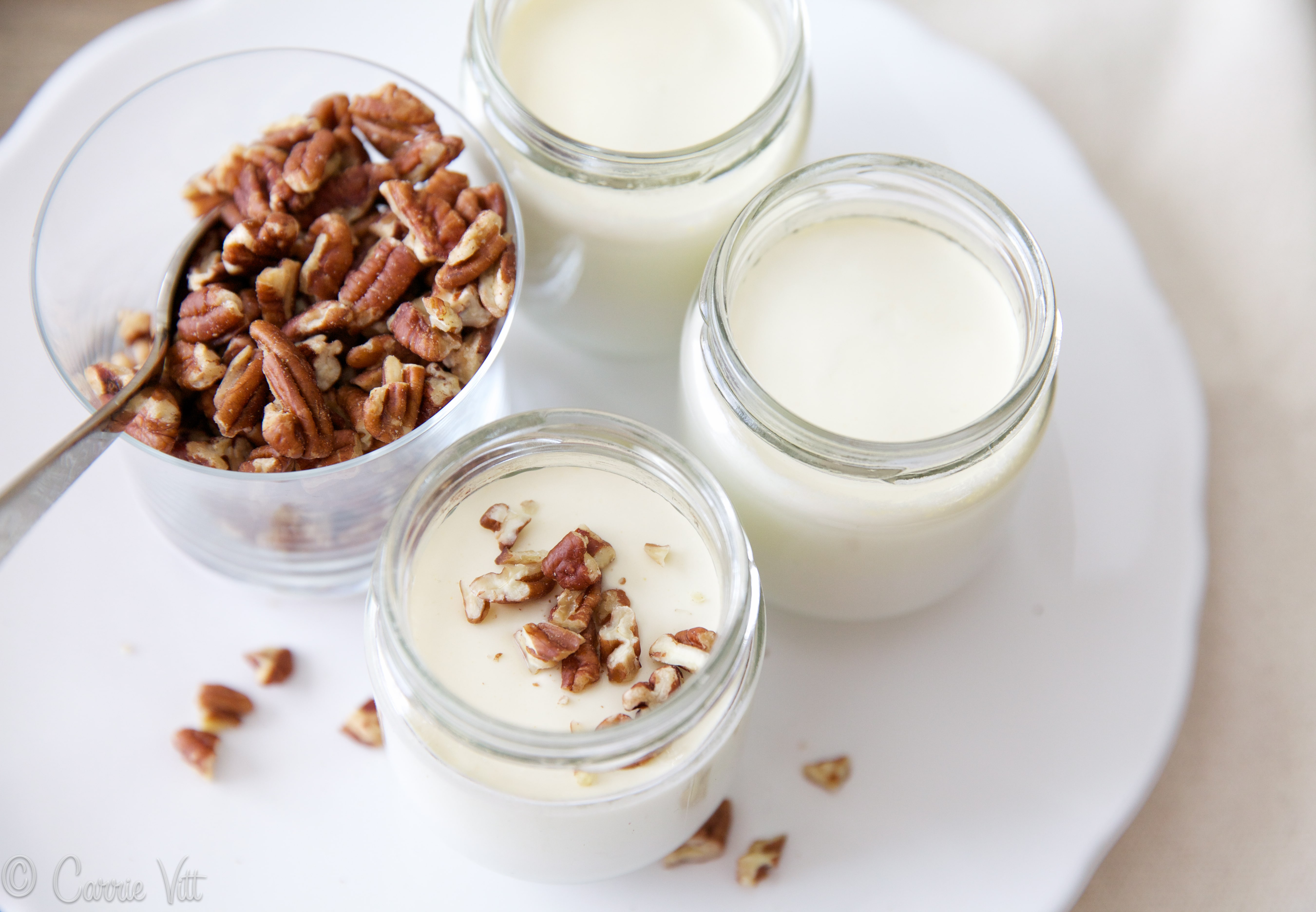 Thick, Homemade Yogurt (with Dairy-Free