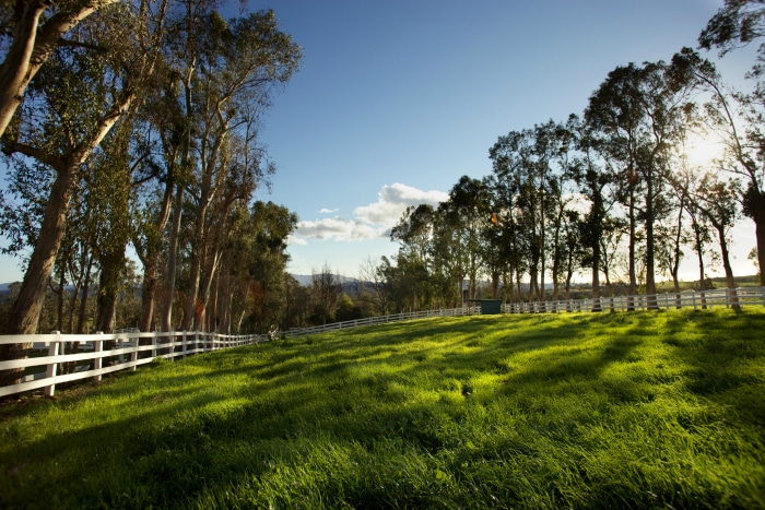 Wanting to ditch the chemicals in your yard? Here are 10 ways to convert to a chemical-free garden and lawn. I think #10 might be the hardest!