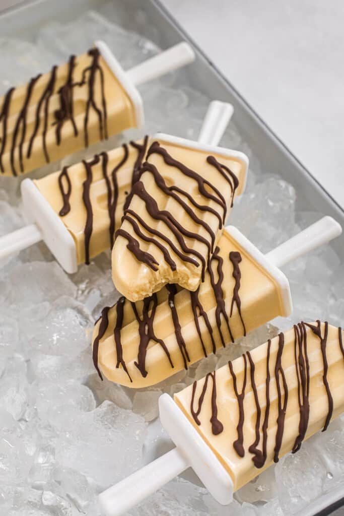 Vanilla Pudding Pops with Homemade Magic Shell