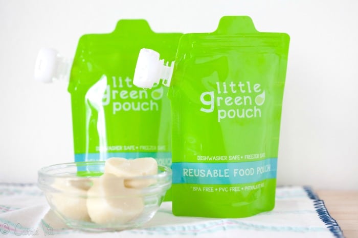 Little Green Pouch - Perfect to store your homemade baby food in!