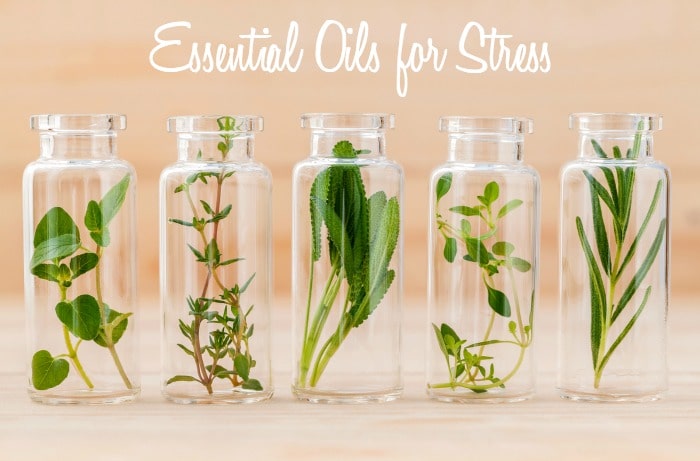 Essential oils for Stress via DeliciouslyOrganic.net