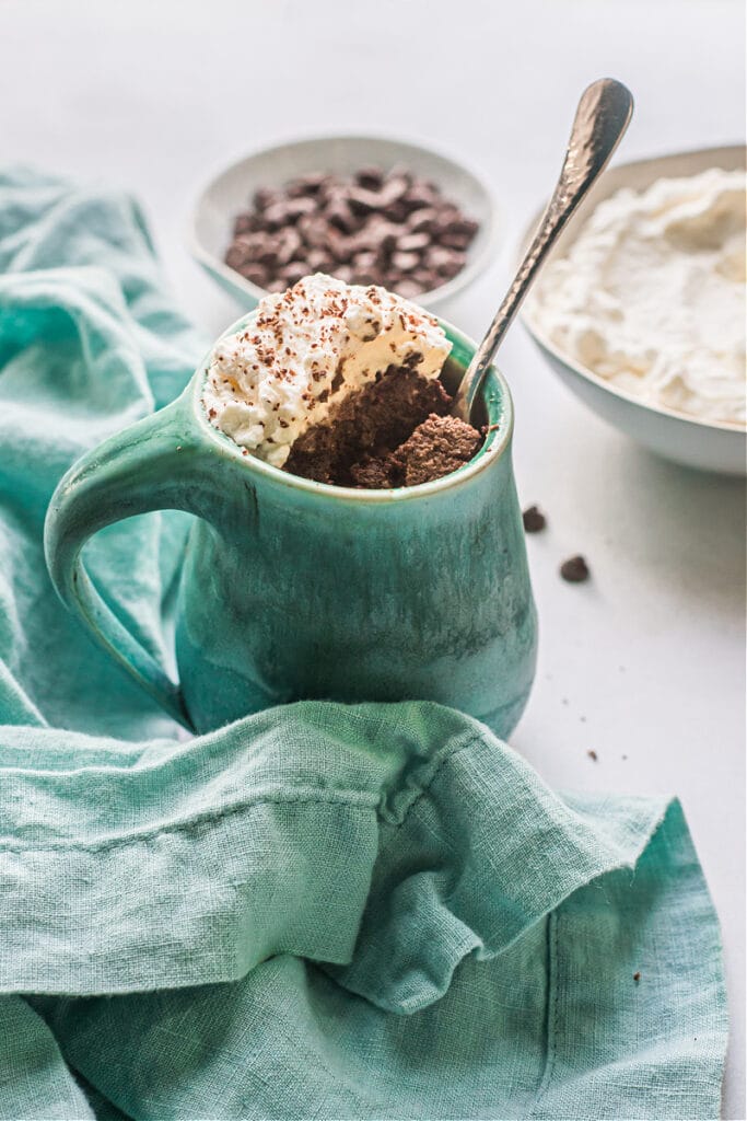 Chocolate Mug Cake Recipe (Grain-Free)