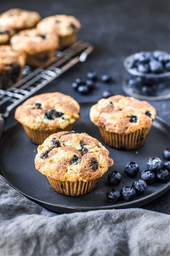 Blueberry Streusel Muffin Recipe (Grain-Free)