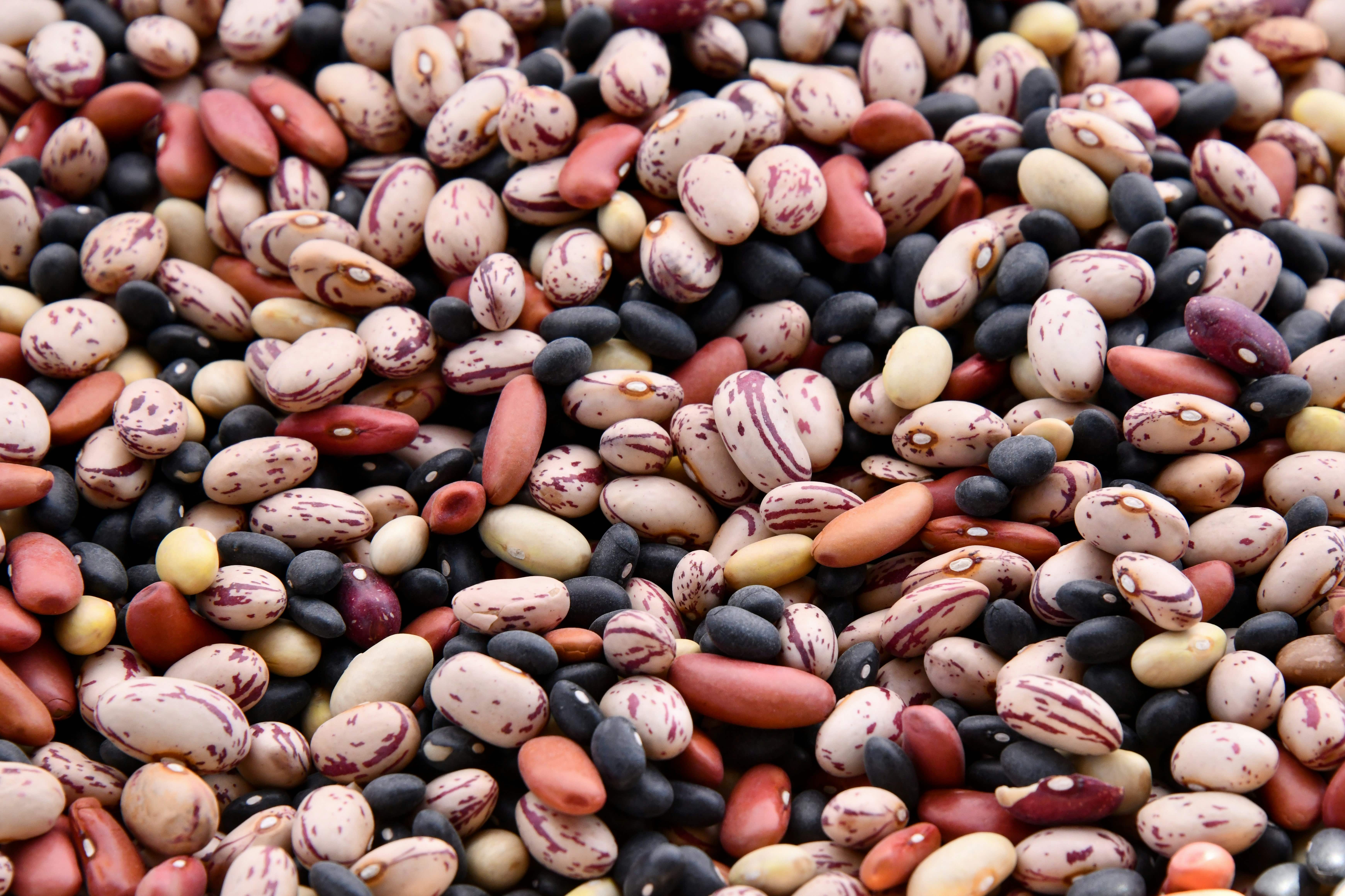 How to Soak and Dehydrate Nuts, Seeds, Legumes, and Lentils (Step-by-Step Guide)