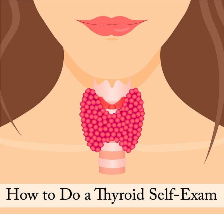How to do a Thyroid Self-Exam