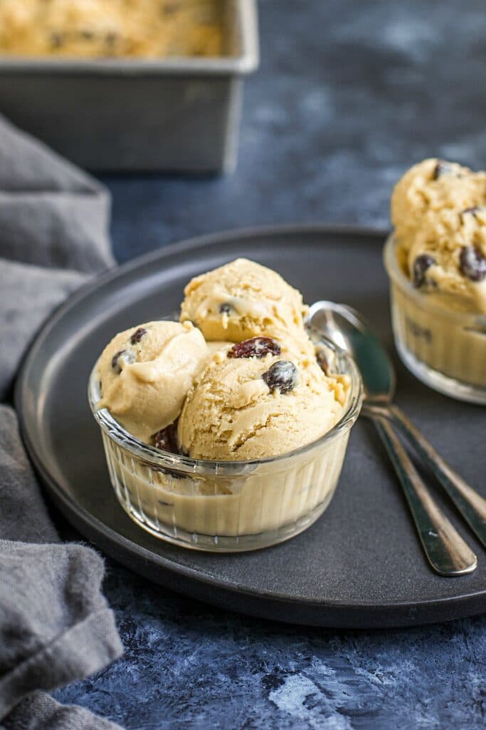 Rum Raisin Ice Cream (Grain-Free, Dairy-Free)