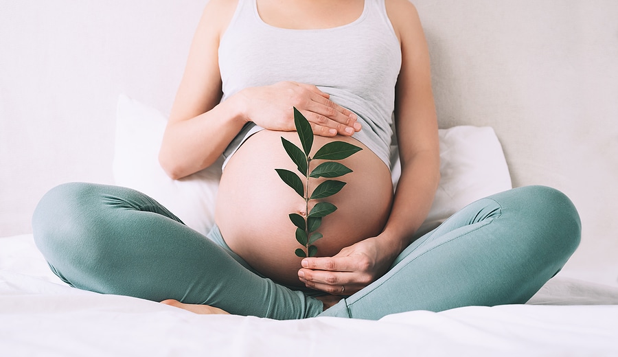 12 τρόποι για να υποστηρίξετε τον θυρεοειδή και τα επινεφρίδια πριν από την εγκυμοσύνη