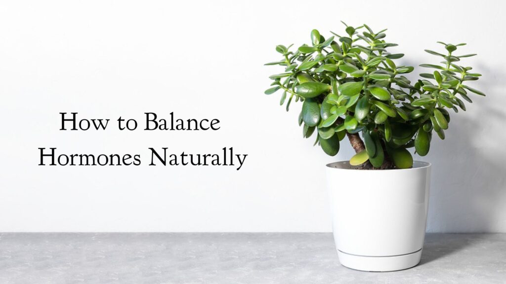How to Balance Hormones Naturally 