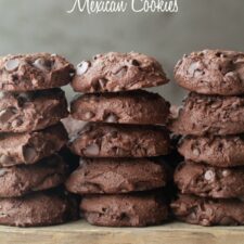 https://deliciouslyorganic.net/wp-content/uploads/2022/10/Grain-Free-Chocolate-Cookies-V-225x225.jpg