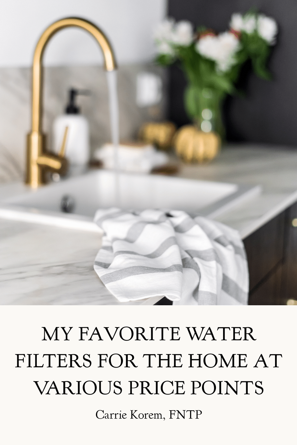 My Favorite Water Filters for the Home (at various price points)