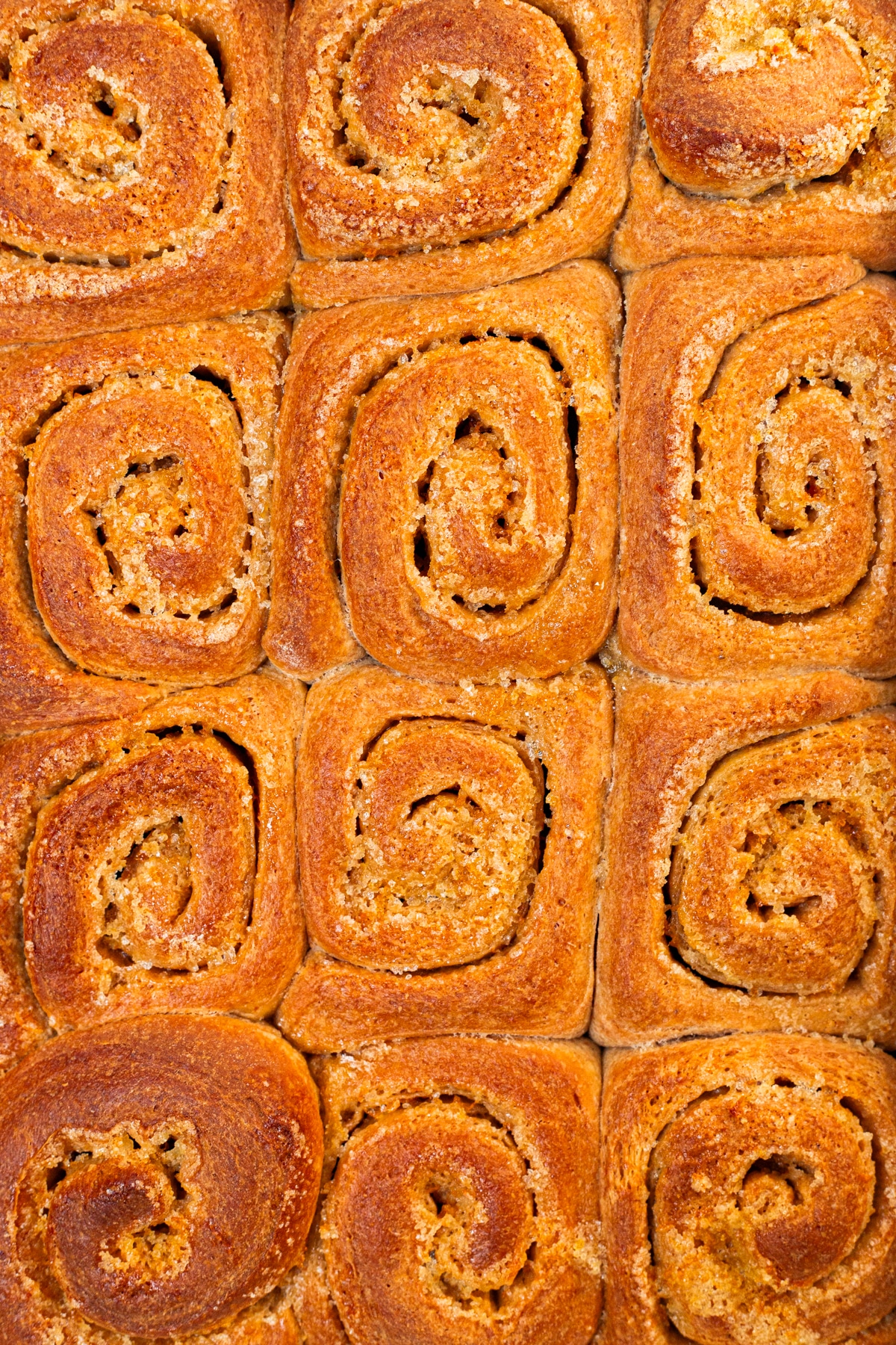 Long-Fermented Sourdough Orange Rolls