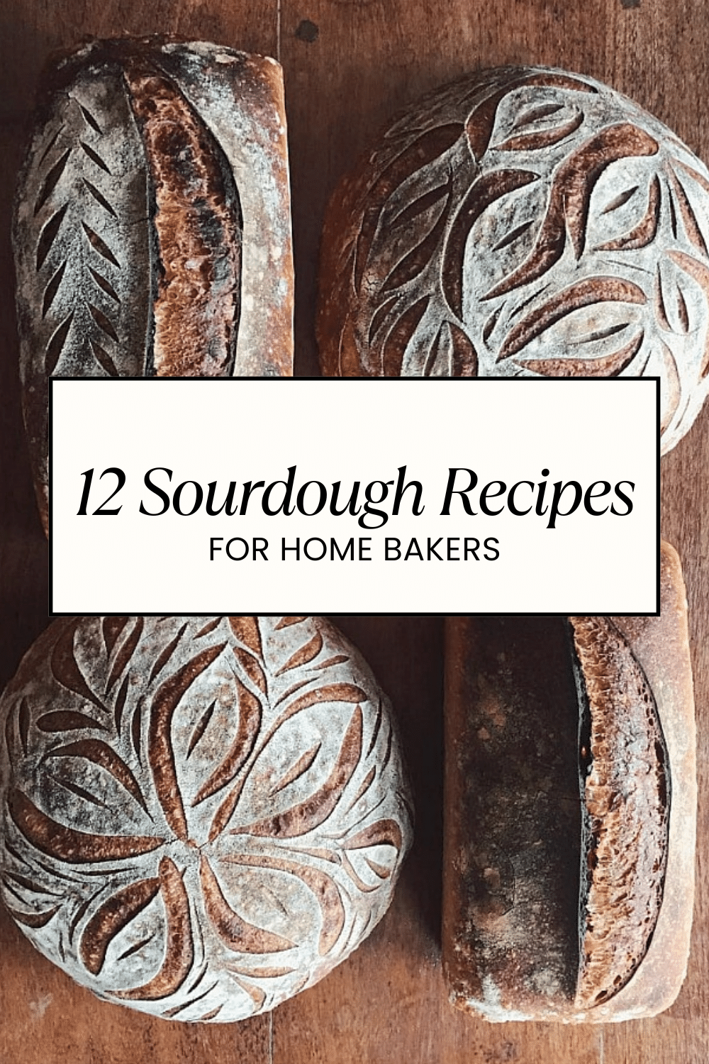 12 Best Sourdough Recipes to Try at Home